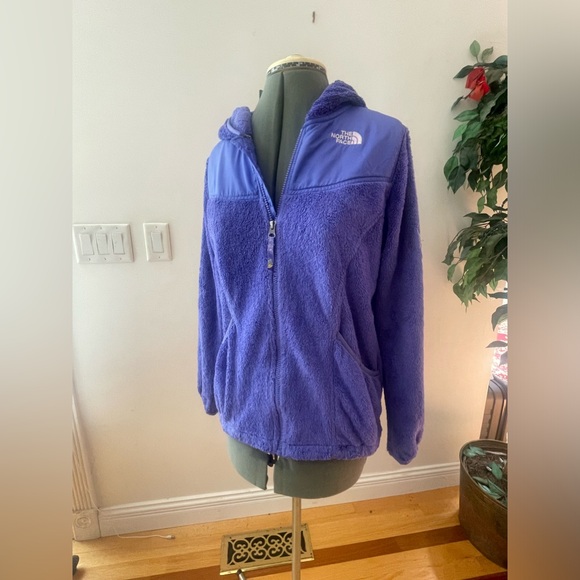 The North Face bluish purple zip up Hoodie - Picture 2 of 11